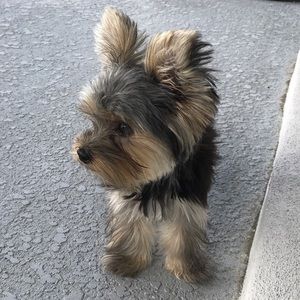 Meet your Posher, Julia